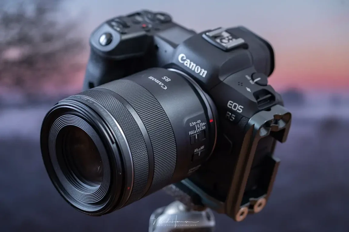 RF 85mm F2 マクロ IS STMのレビュー比較まとめ ポートレート兼